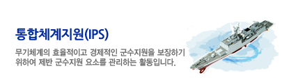 통합체계지원(IPS)