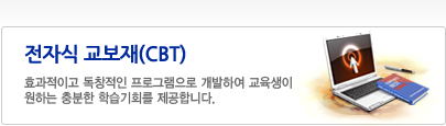 전자식 교보재(CBT)